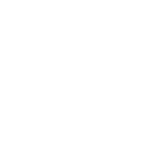 Income