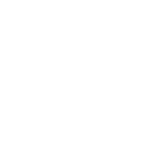 Newton